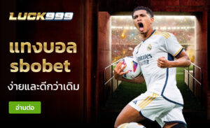 แทงบอล sbobet